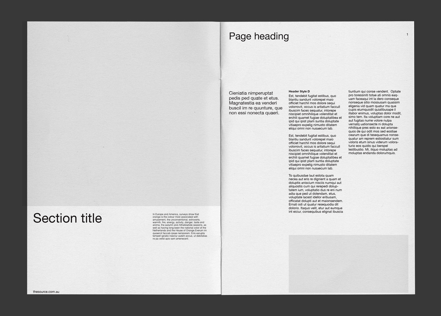 Debut A4 publication template