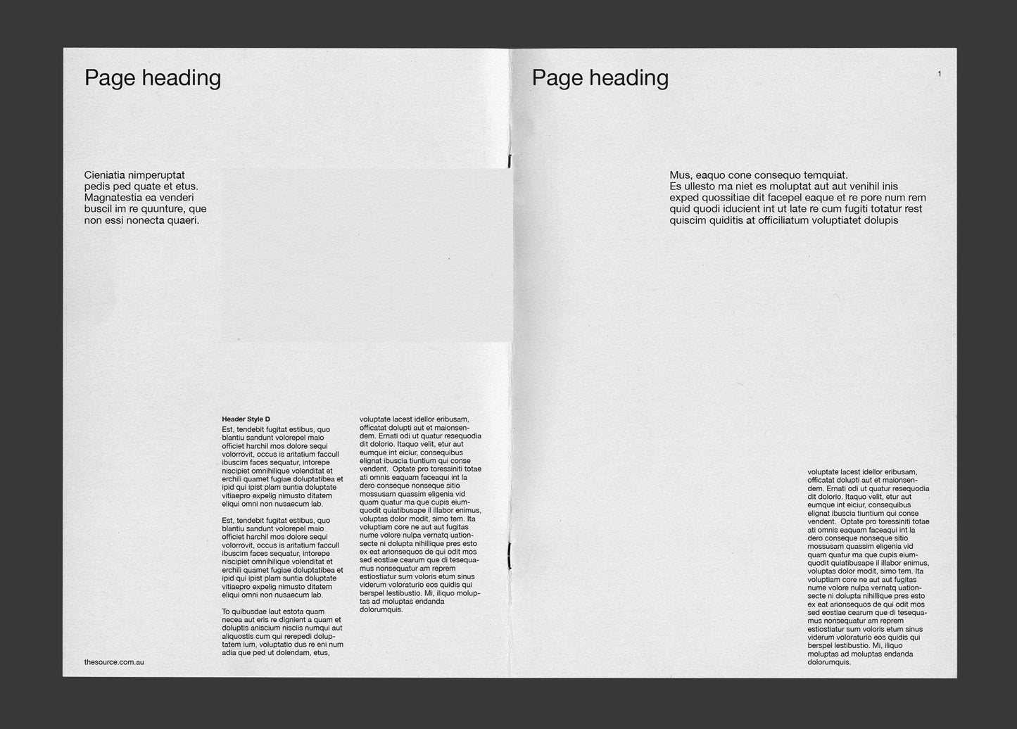 Debut A4 publication template