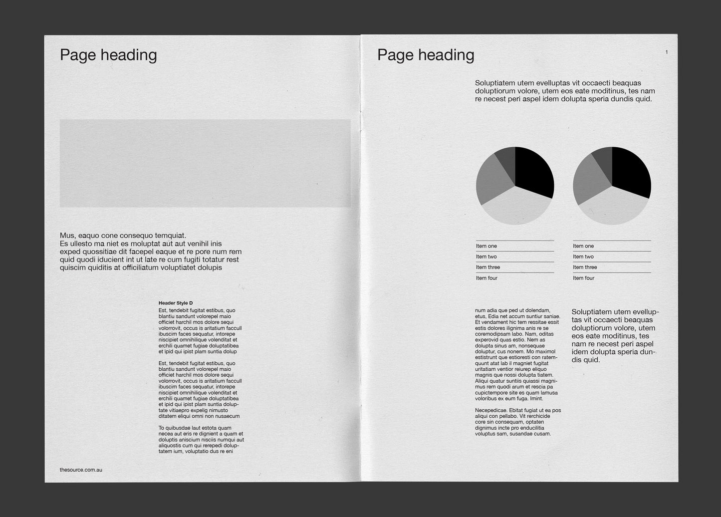 Debut A4 publication template