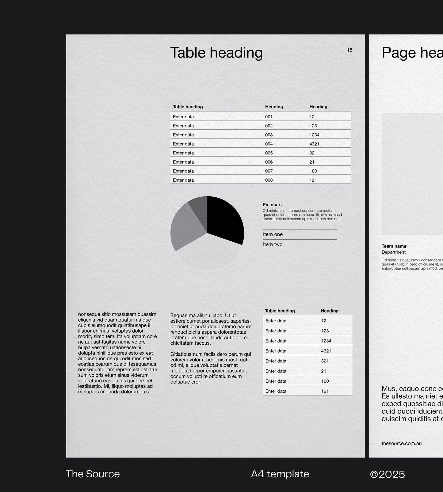 Debut A4 publication template